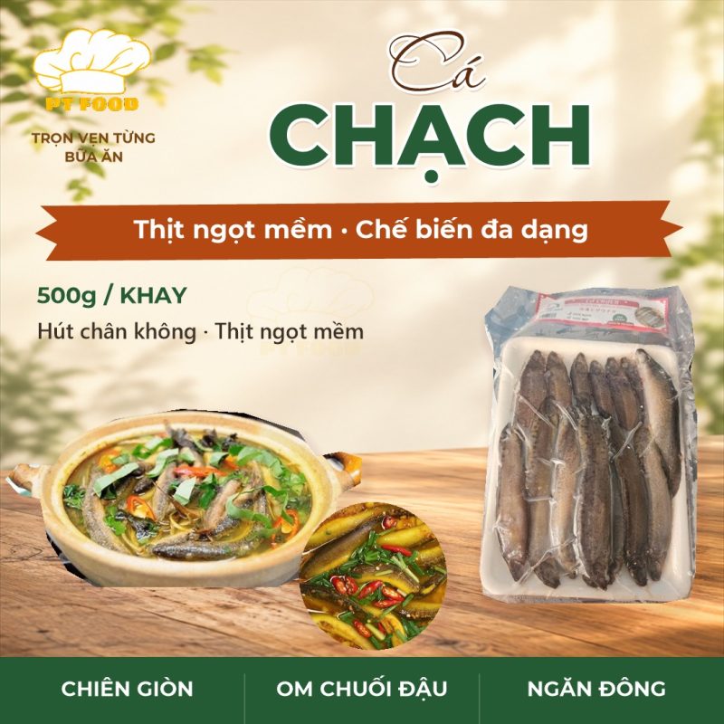 cá chạch