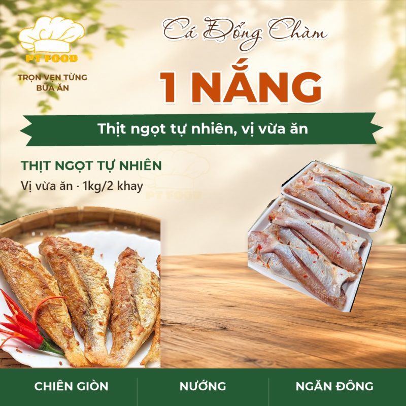Cá Đổng Chàm 1 Nắng — 2 khay