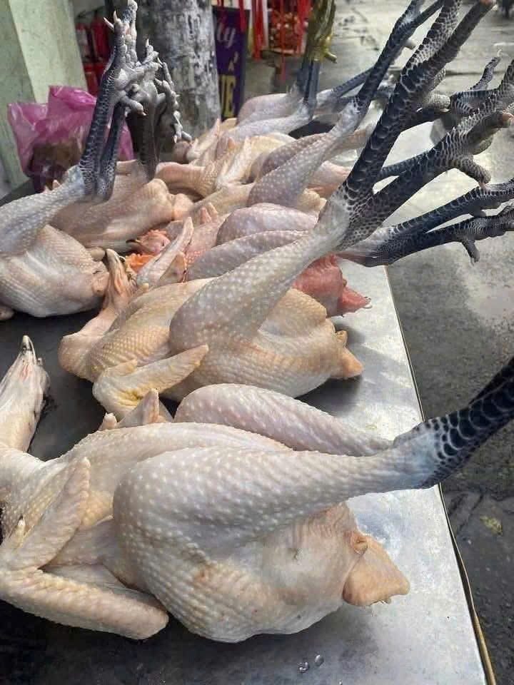 gà chân chì sạch lông mổ bụng 1 con 2kg cấp đông — 1 con