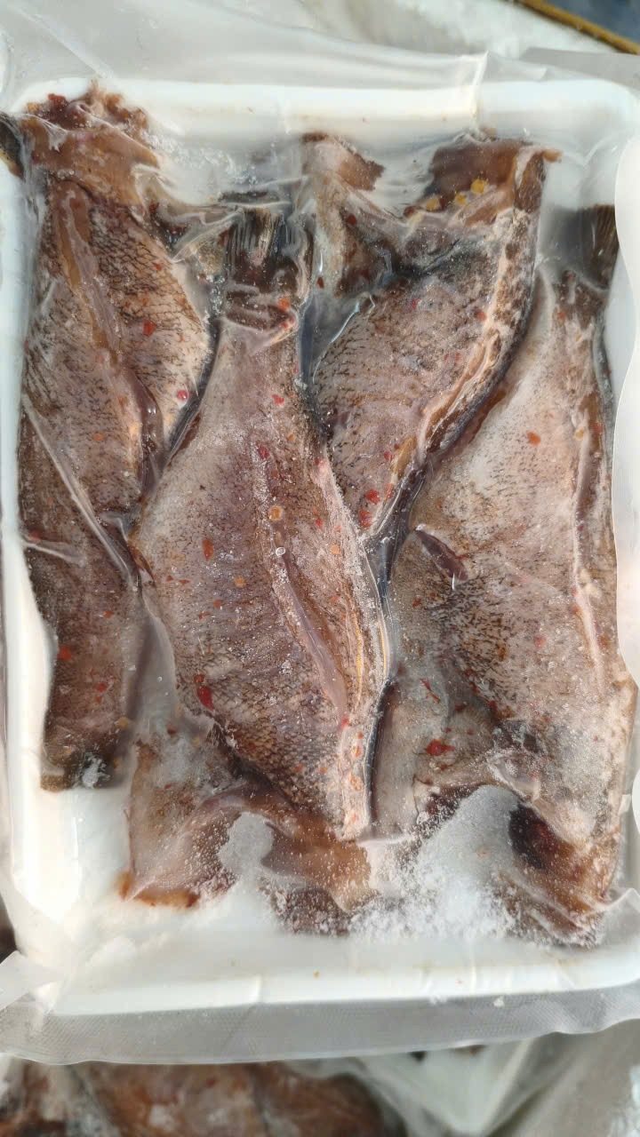 Cá Mú Biển 1 Nắng