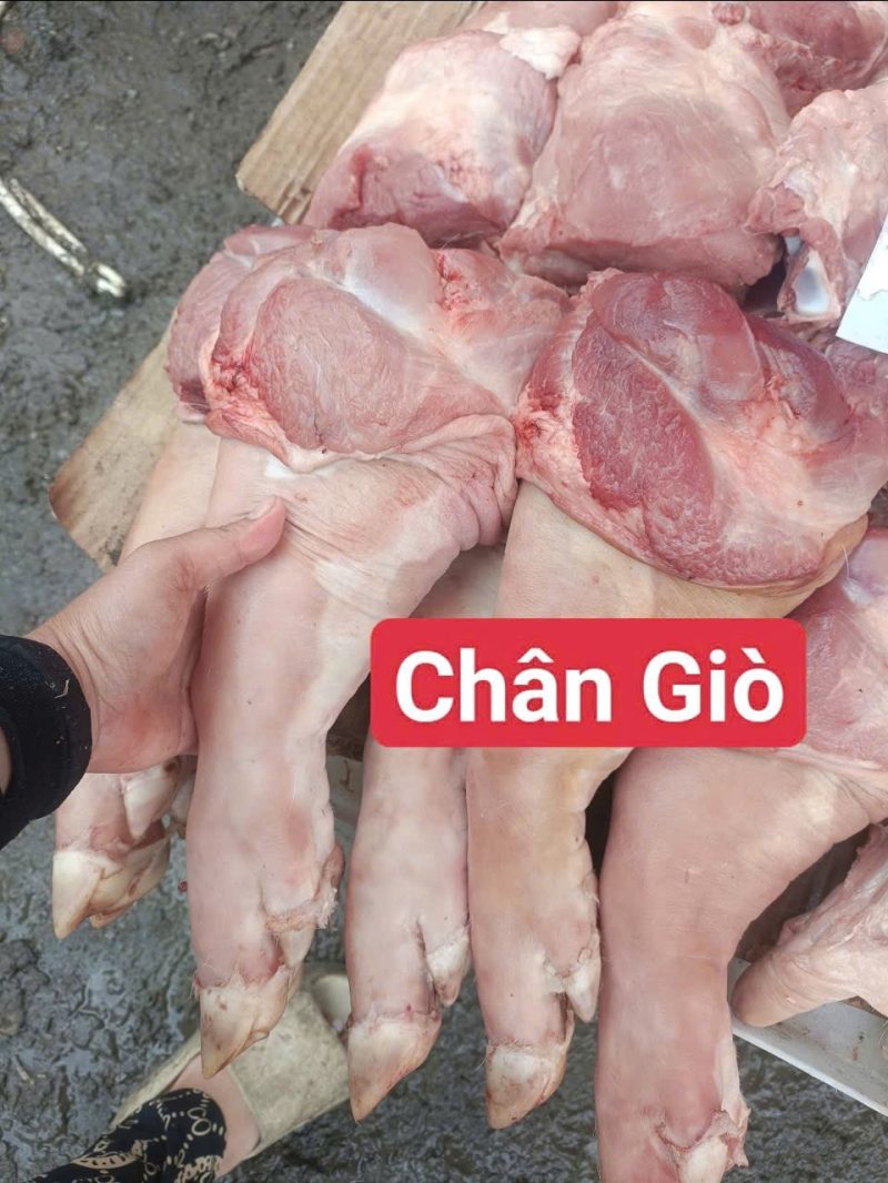 Chân giò heo tươi 1 cái 1kg - 1.5kg