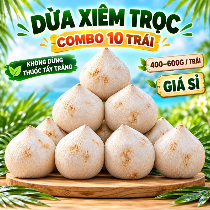 Set 5 trái dừa trọc — 5 trái