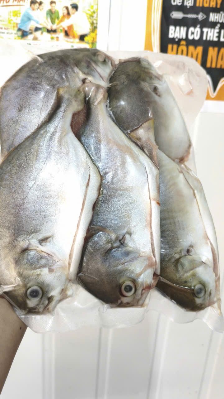 Cá chim trắng làm sạch cấp đông