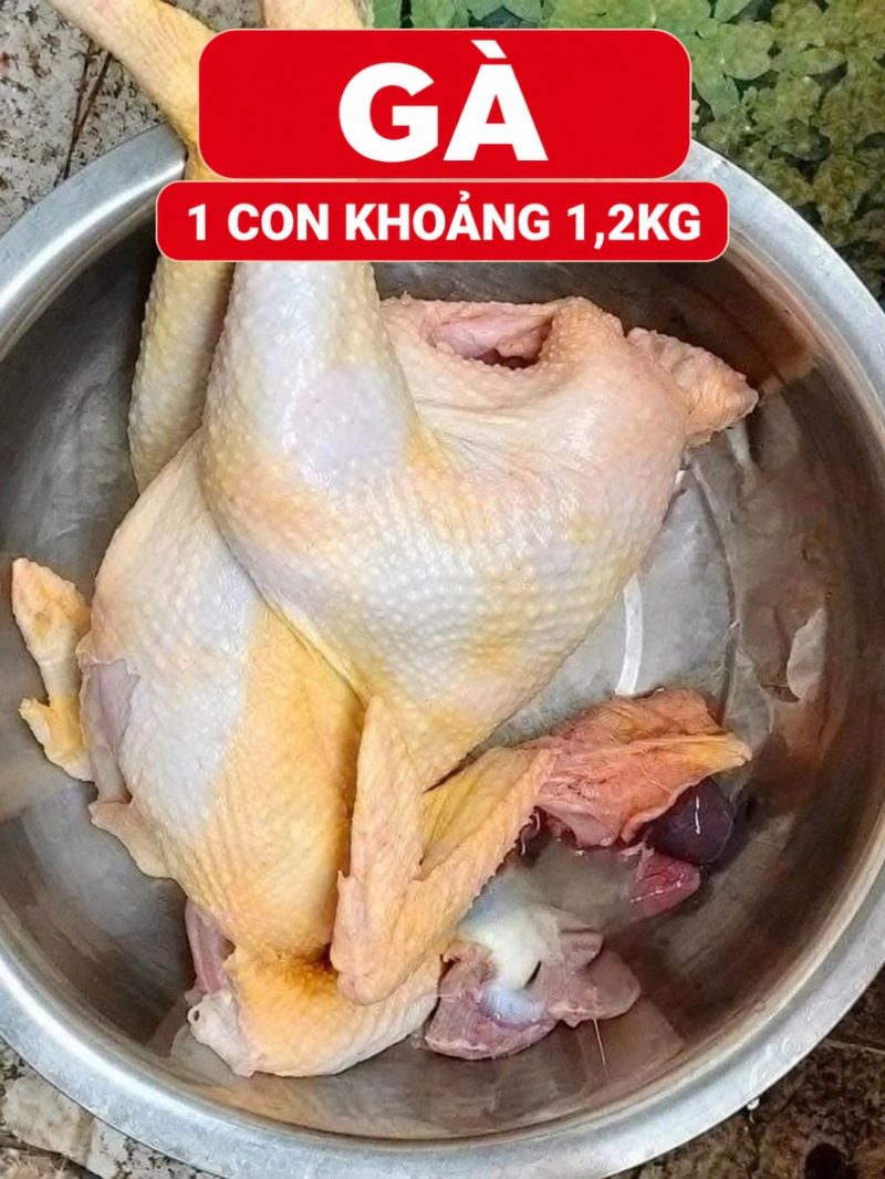 Combo 2 con gà đã làm lông