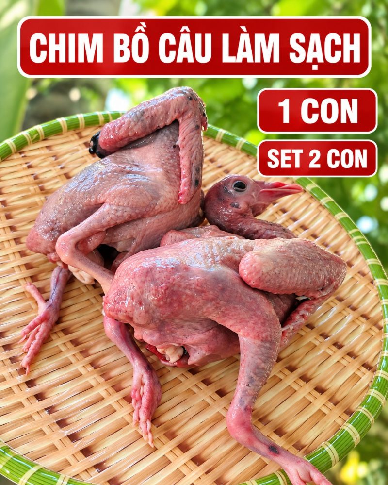 1 set 2 con chim Bồ Câu làm sạch