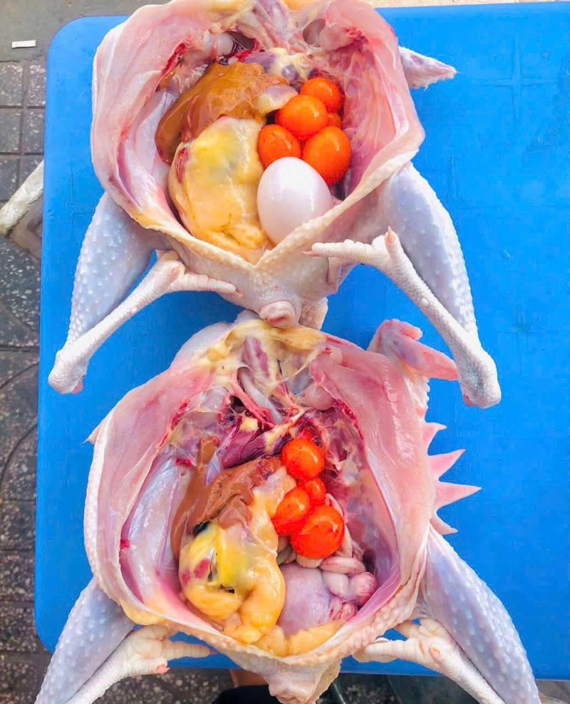 Gà Ôm Trứng đã làm lông 1.4kg 1 con