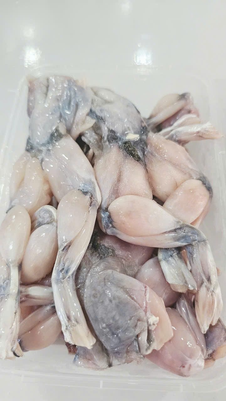 Đùi Ếch — 2 khay - ảnh 5