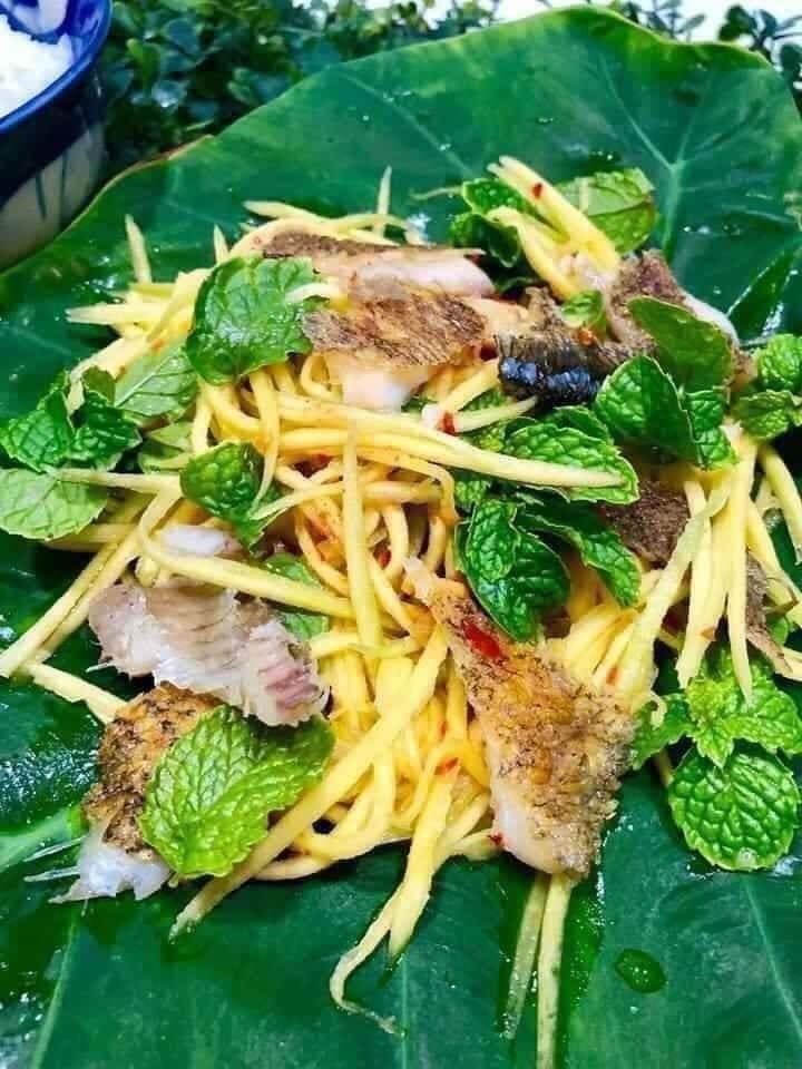 Cá Sặc 1 Nắng — 10-12 con - ảnh 2