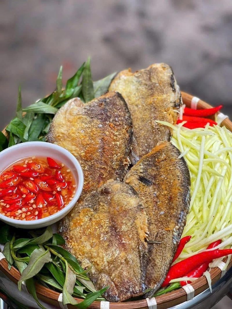 Cá Sặc 1 Nắng — 10-12 con - ảnh 5