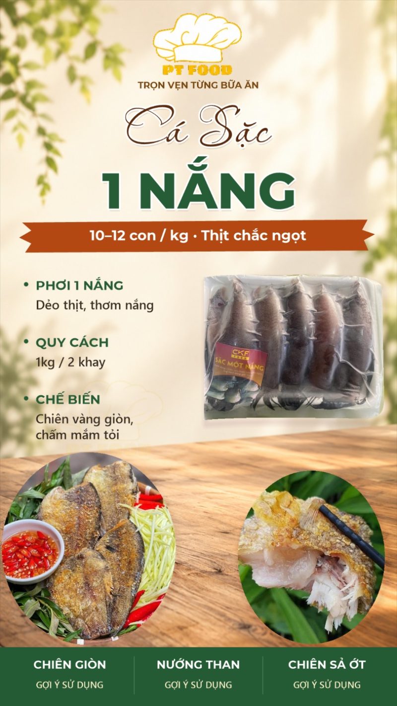 Cá Sặc 1 Nắng — 10-12 con - ảnh 8