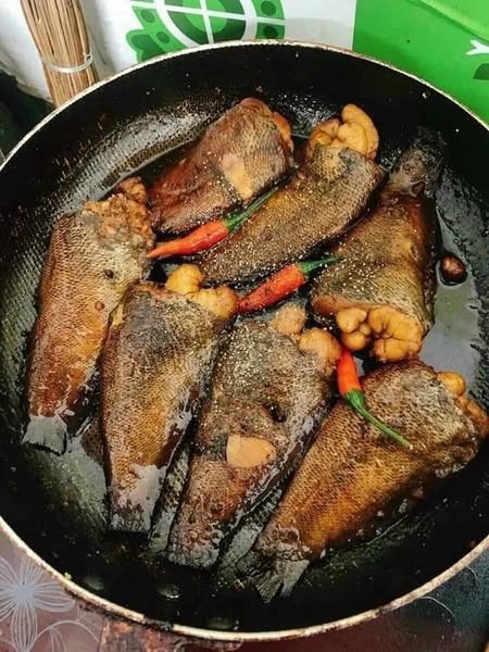 Cá Sặc Trứng — 2 khay - ảnh 1