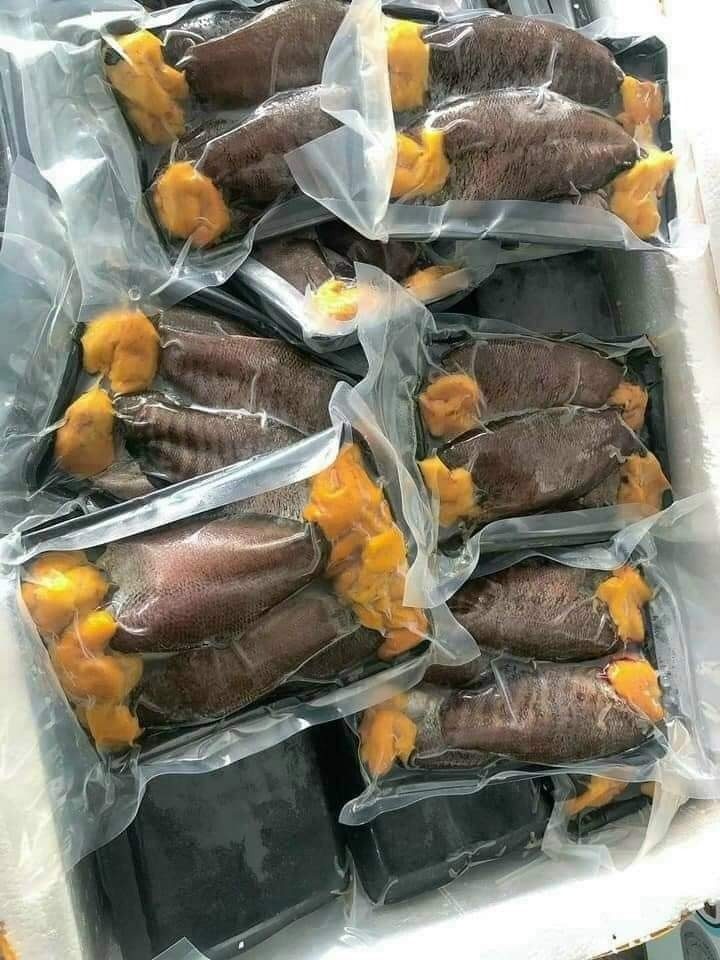 Cá Sặc Trứng — 2 khay - ảnh 4