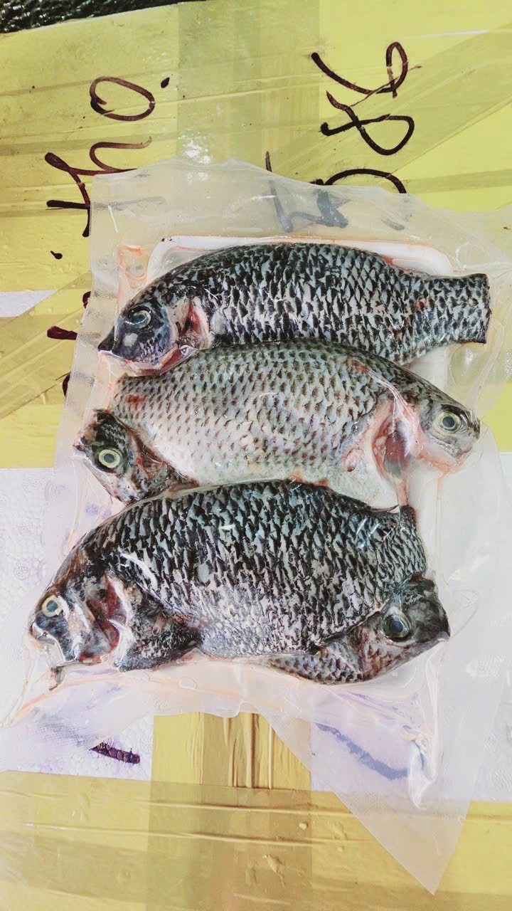 Cá Rô phi làm sạch — 1 khay - ảnh 4