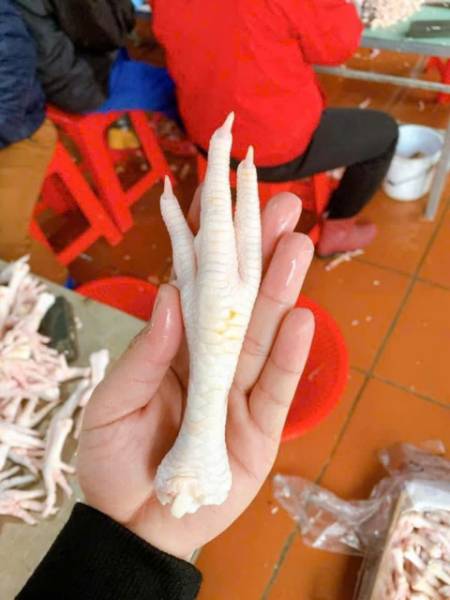 Chân Gà Có Xương (khay) — Khay 1kg - ảnh 6