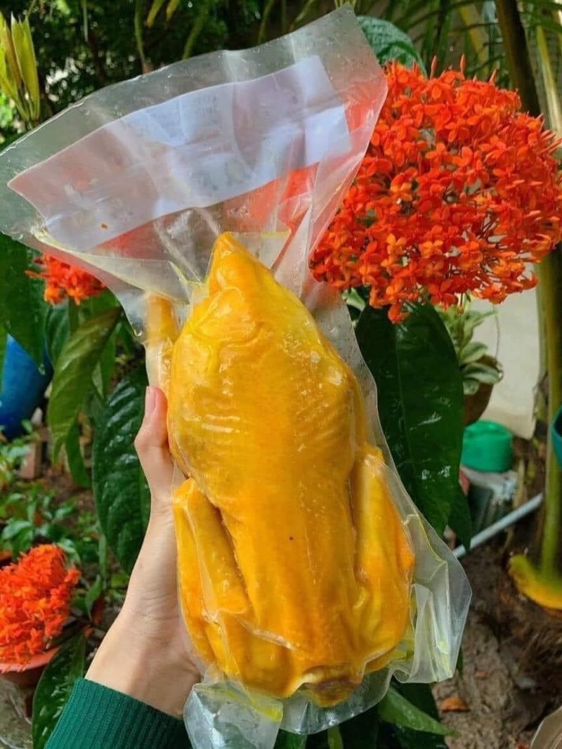 Gà Ủ Muối HP không đầu — 1 con - ảnh 4