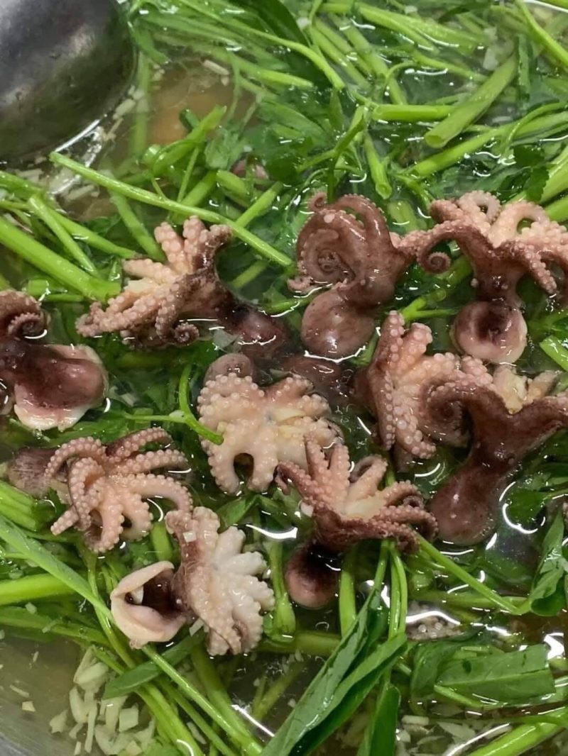 Bạch Tuộc — 10 con/kg - ảnh 5