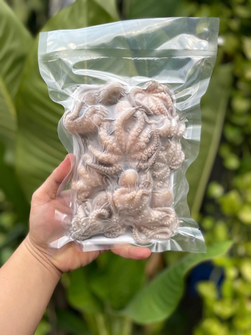 Bạch Tuộc — 10 con/kg - ảnh 6