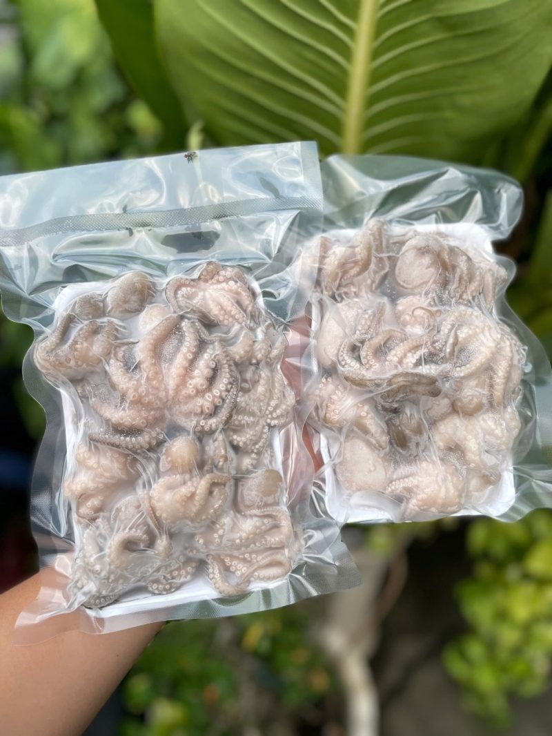 Bạch Tuộc — 10 con/kg - ảnh 7