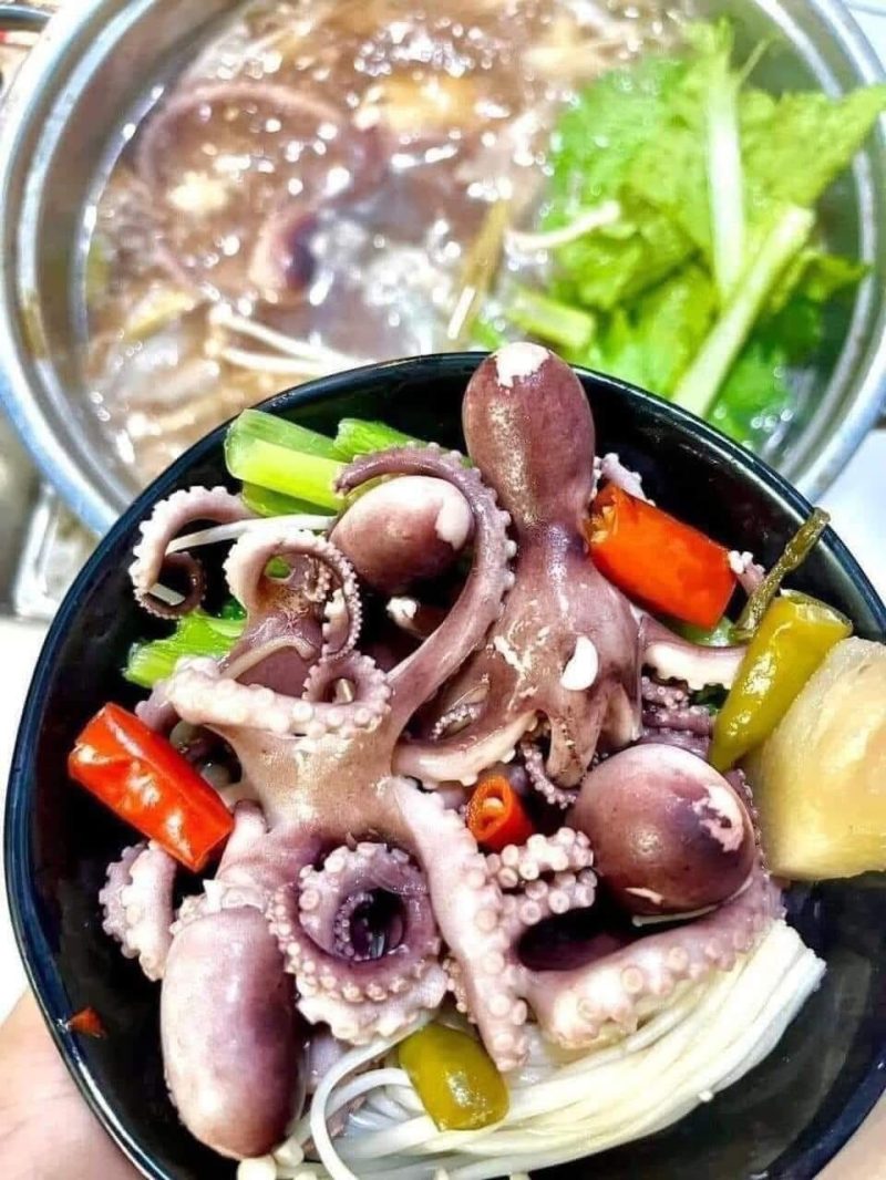 Bạch Tuộc — 10 con/kg - ảnh 4