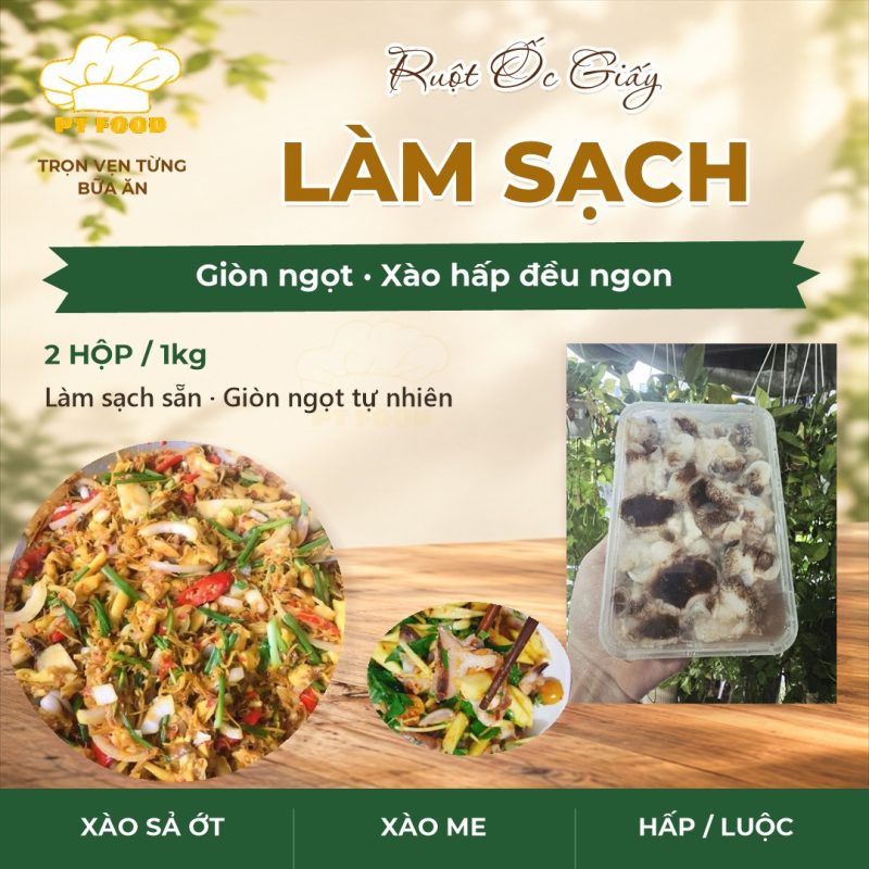 Ruột ốc Giấy
