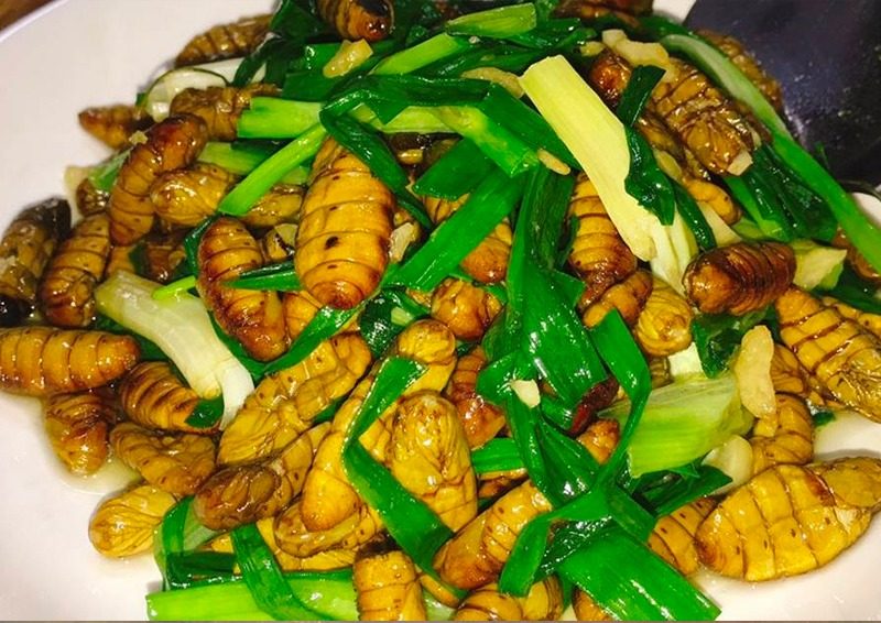 Nhộng Tằm — 2 bịch - ảnh 3