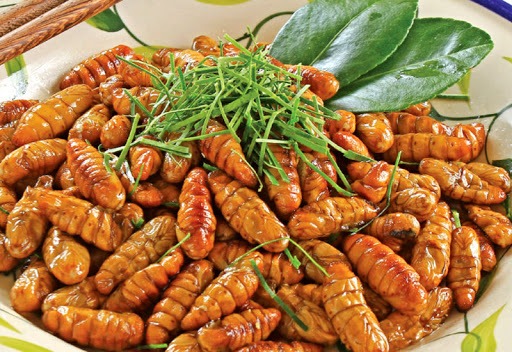 Nhộng Tằm — 2 bịch - ảnh 1