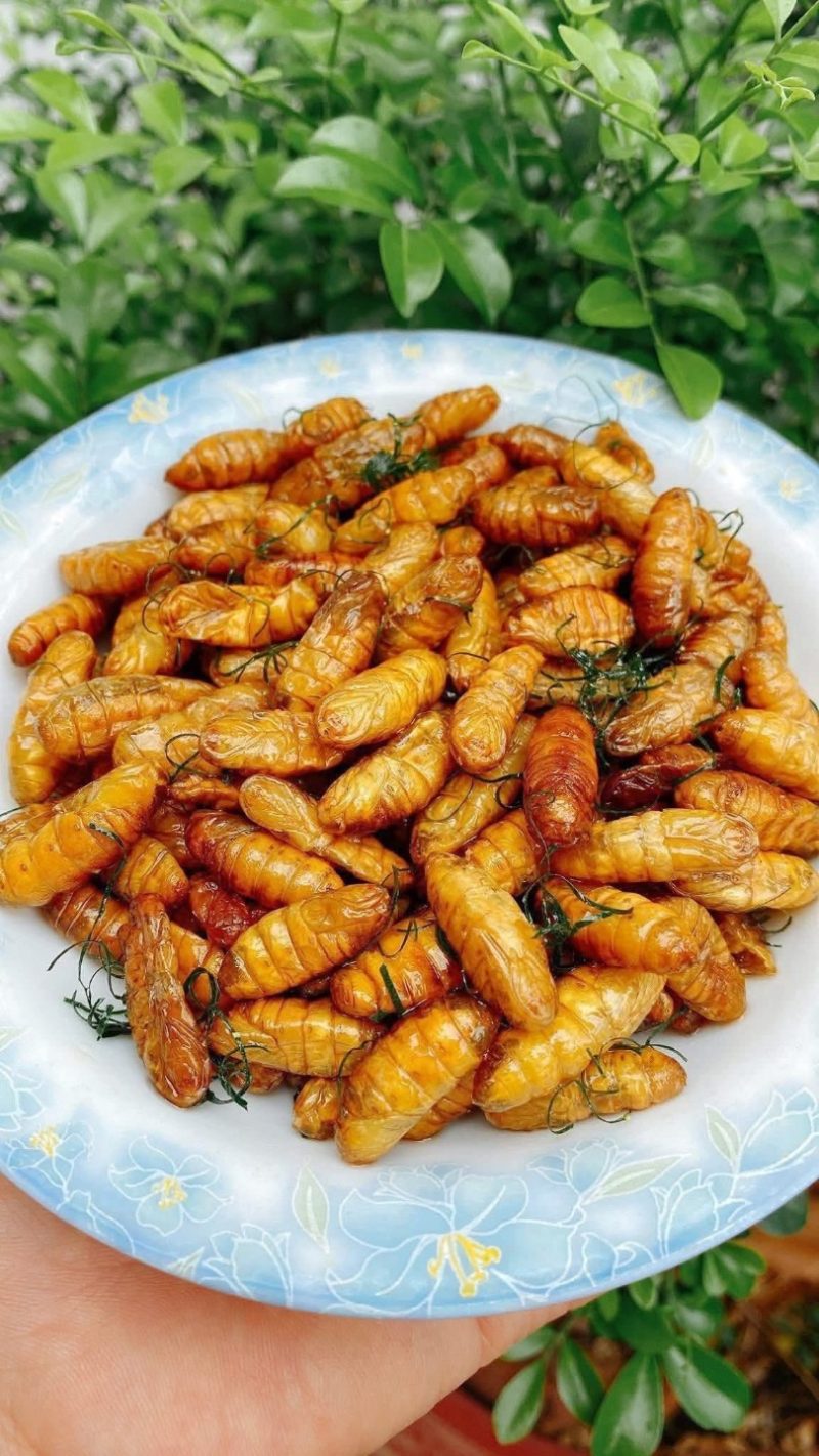Nhộng Tằm — 2 bịch - ảnh 6