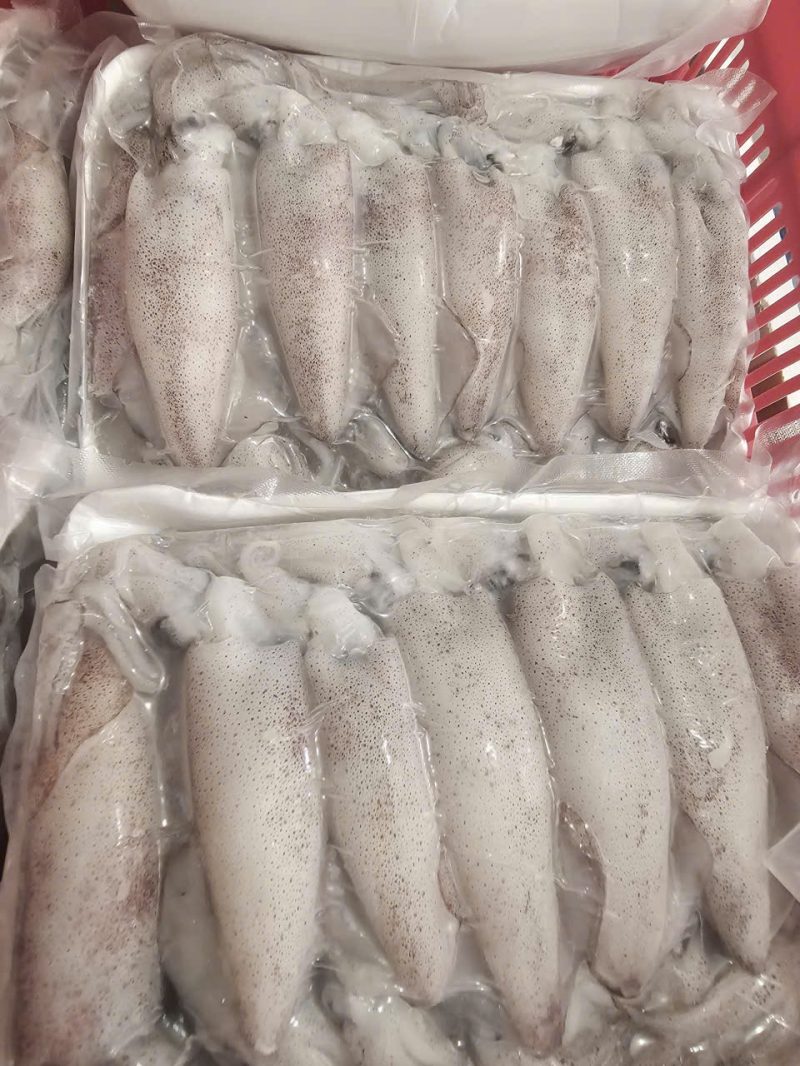 Mực Trứng N7-8 — 1 khay - ảnh 4