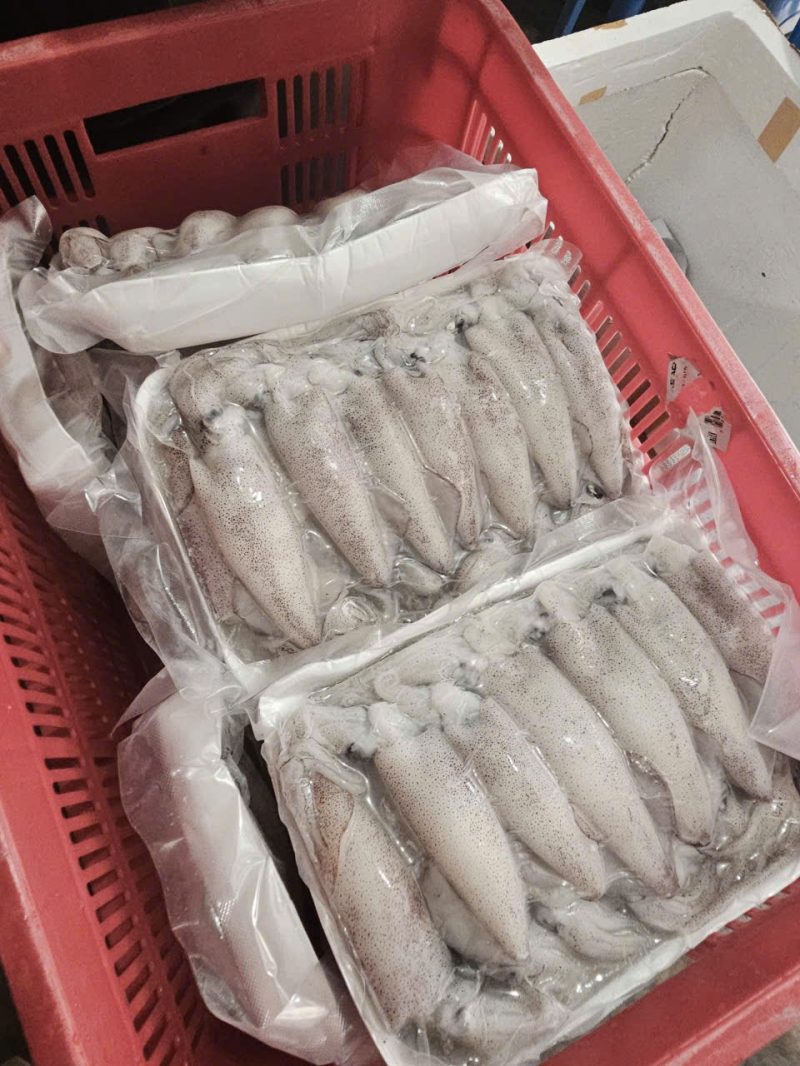 Mực Trứng N7-8 — 1 khay - ảnh 5