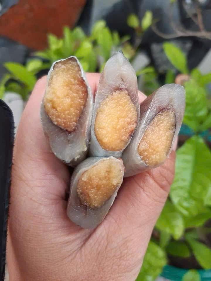 Cá Trứng Nauy Siêu Trứng N8 — 2 khay - ảnh 3