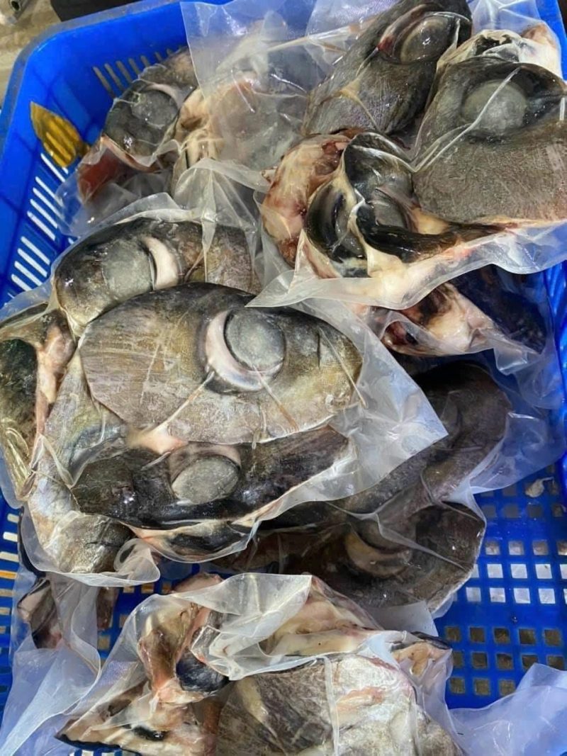 Mắt Cá Ngừ Đại Dương Loại 1 — 1 bịch - ảnh 7
