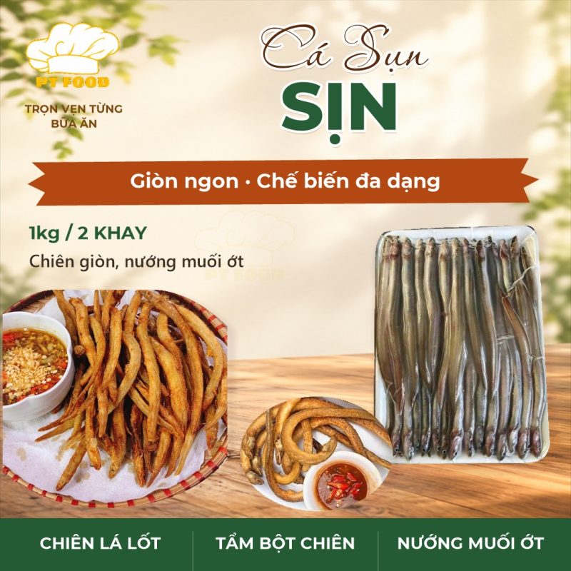 Cá sụn sịn