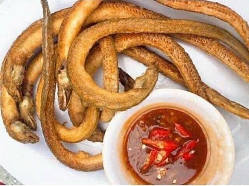 Cá sụn sịn — 2 khay - ảnh 2