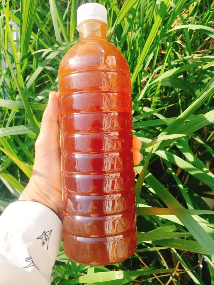 Mật Ong Hoa Cà Phê — Chai 1 Lít - ảnh 4