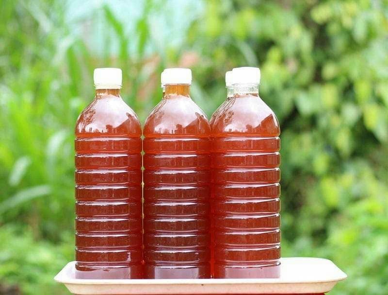 Mật Ong Hoa Cà Phê — Chai 1 Lít - ảnh 2