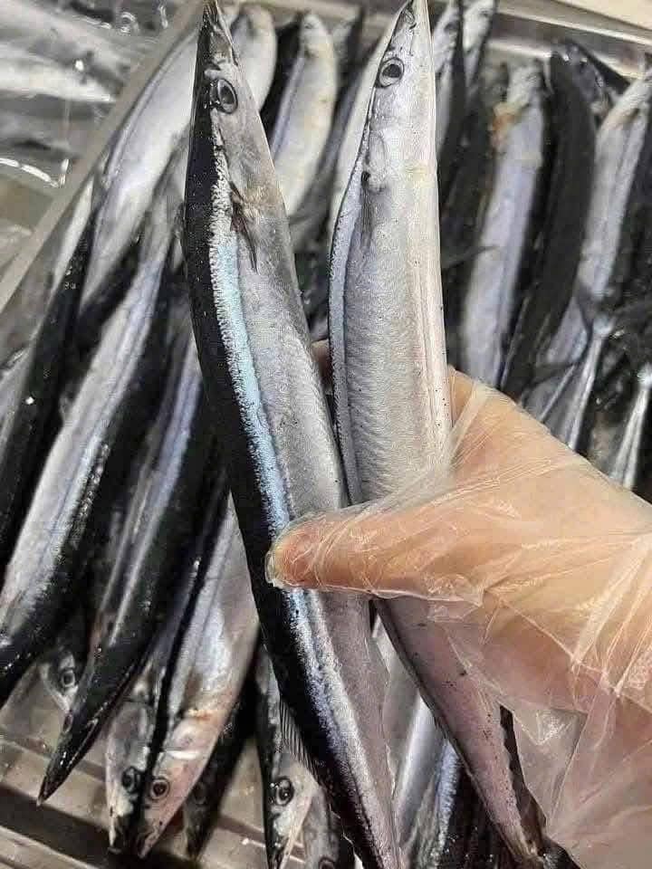 Cá Thu Đao — 1 khay - ảnh 2
