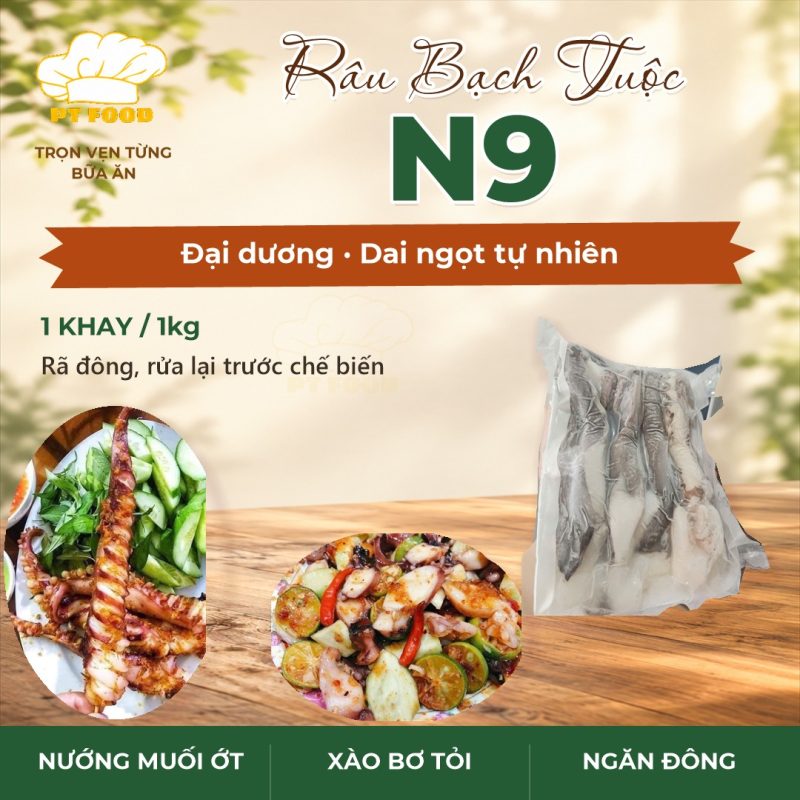Râu Bạch Tuộc N9