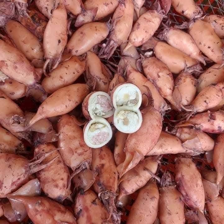 Mực Sim Trứng hấp thuyền — 2 khay - ảnh 4