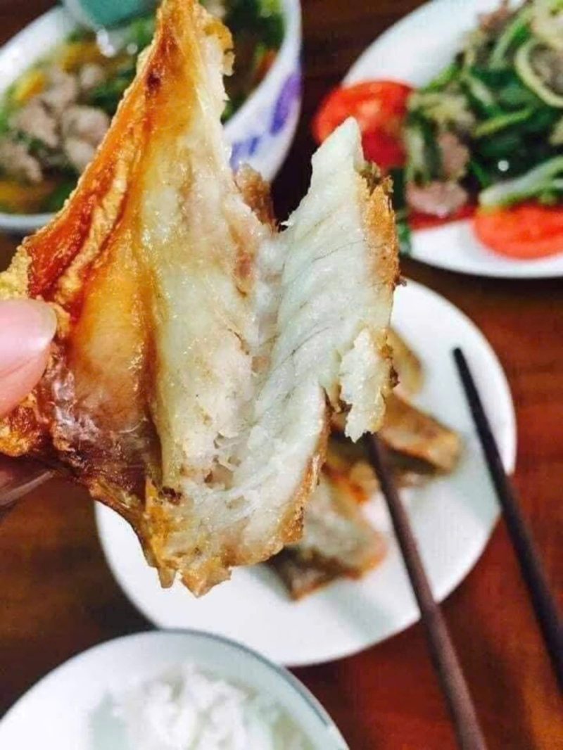 Cá đù 12-14 con — 2 khay - ảnh 4