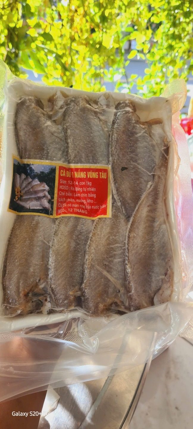 Cá đù 12-14 con — 2 khay - ảnh 6