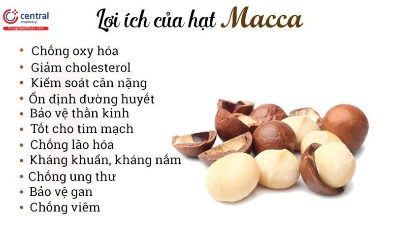 Hạt Macca 500gram — 1 Hũ - ảnh 3