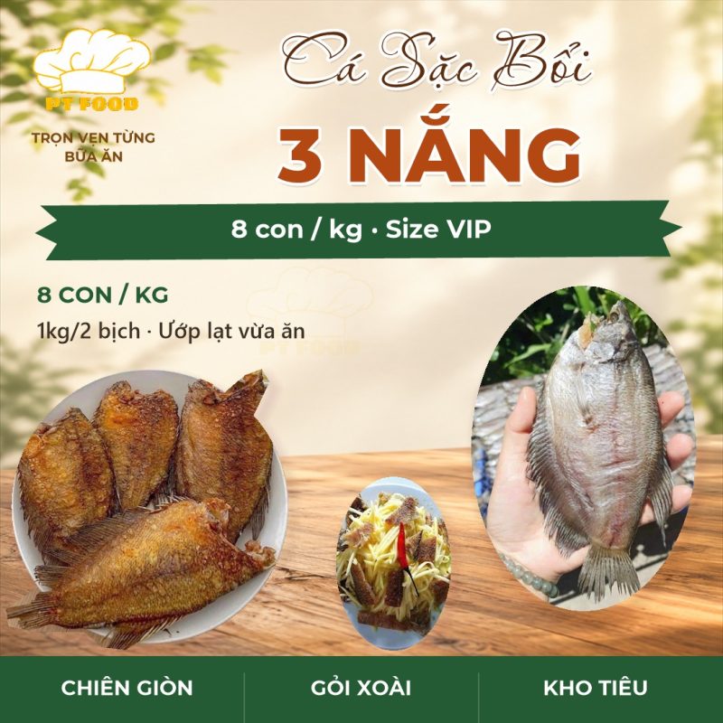 Cá Sặc Bổi 3 Nắng 8 Con