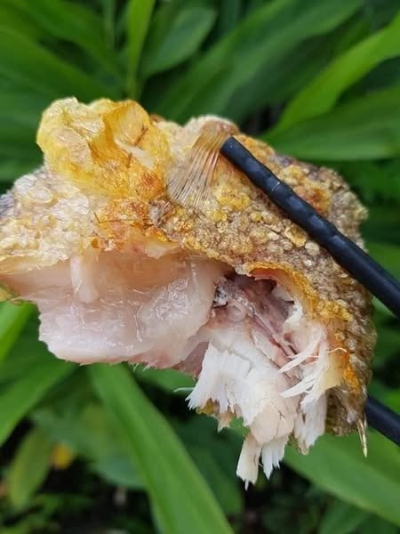 Cá Sặc Bổi 3 Nắng 12 Con — 2 bịch - ảnh 1