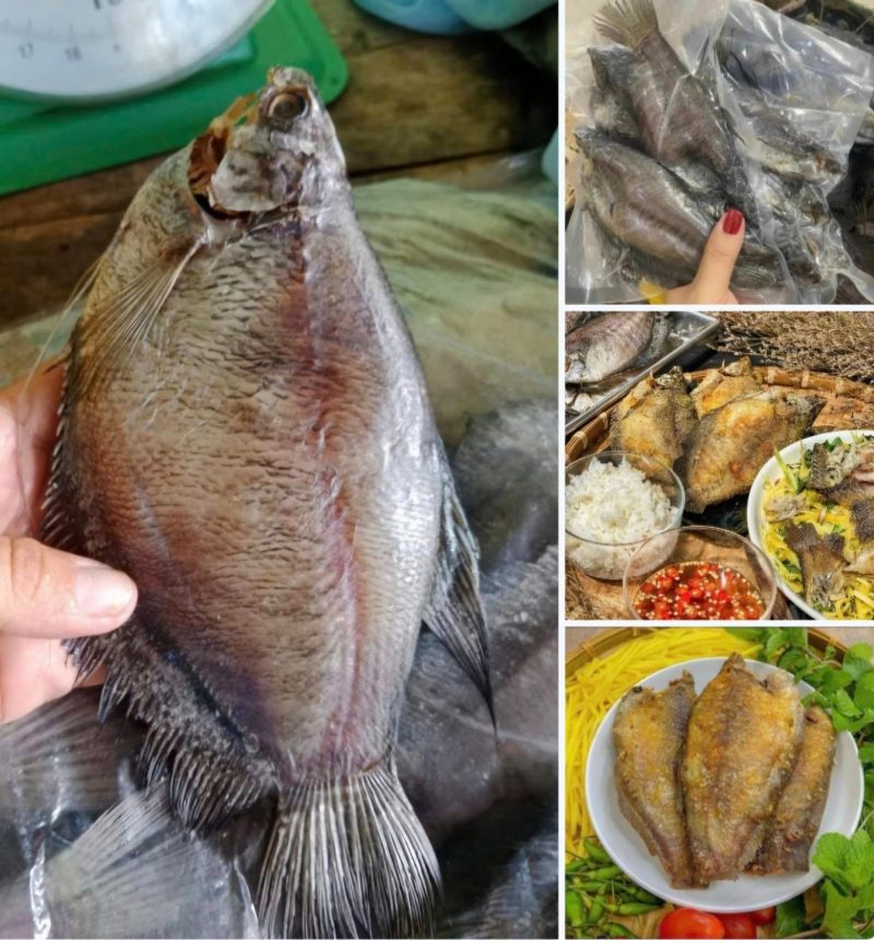 Cá Sặc Bổi 3 Nắng 12 Con — 2 bịch - ảnh 8