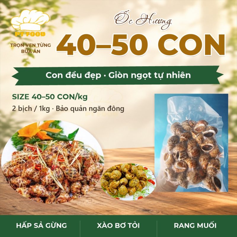 Ốc Hương