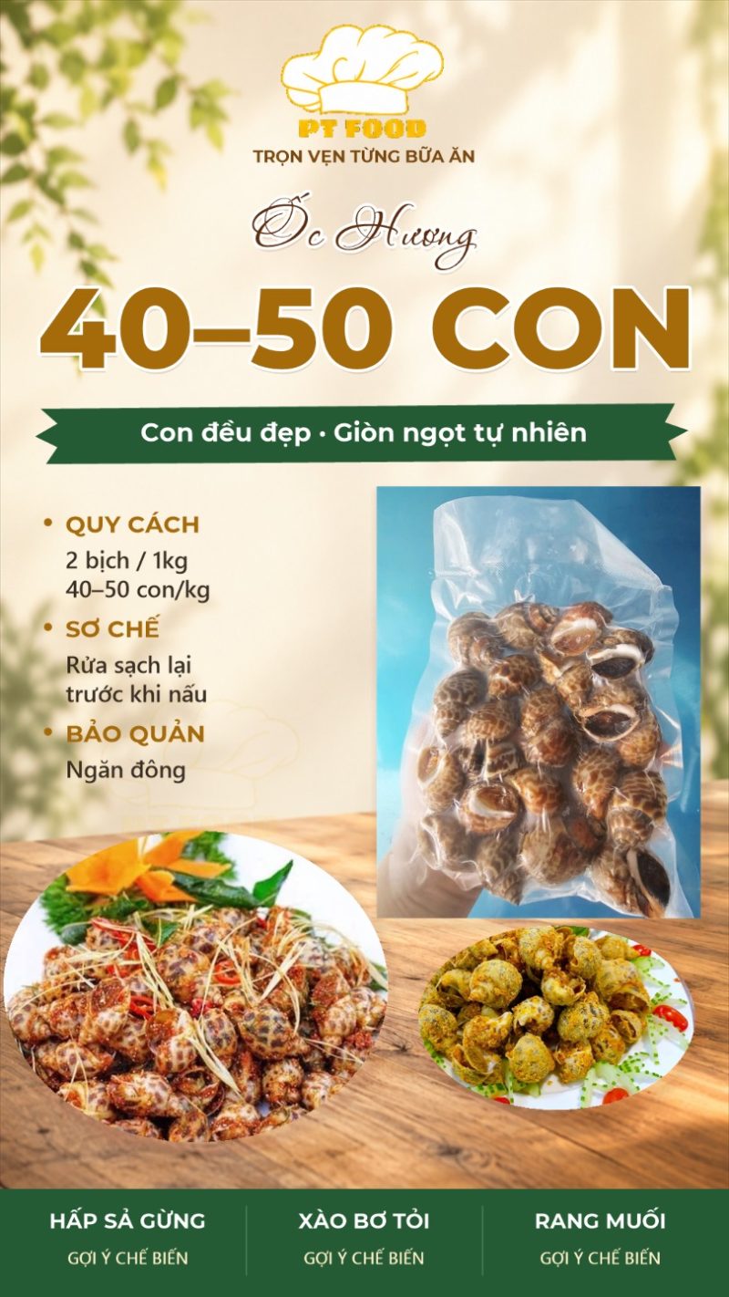 Ốc Hương — 2 bịch - ảnh 7