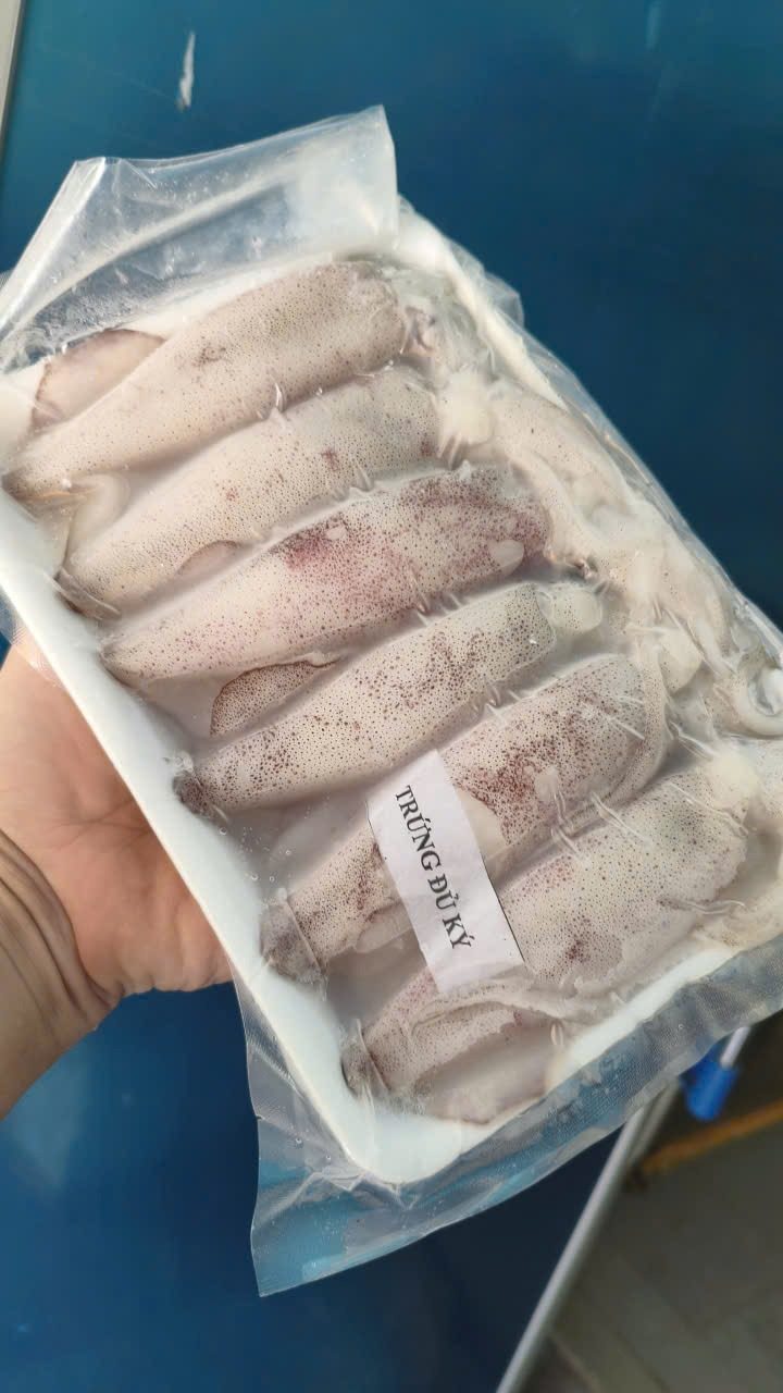 Mực Trứng Đủ Ký 12-14 con