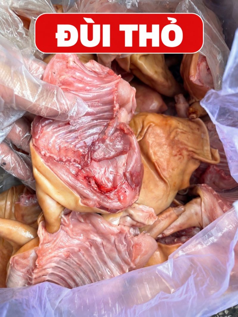 Đùi Thỏ