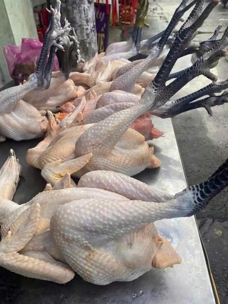Gà Chân Đen 2.5 - 3kg 1 con