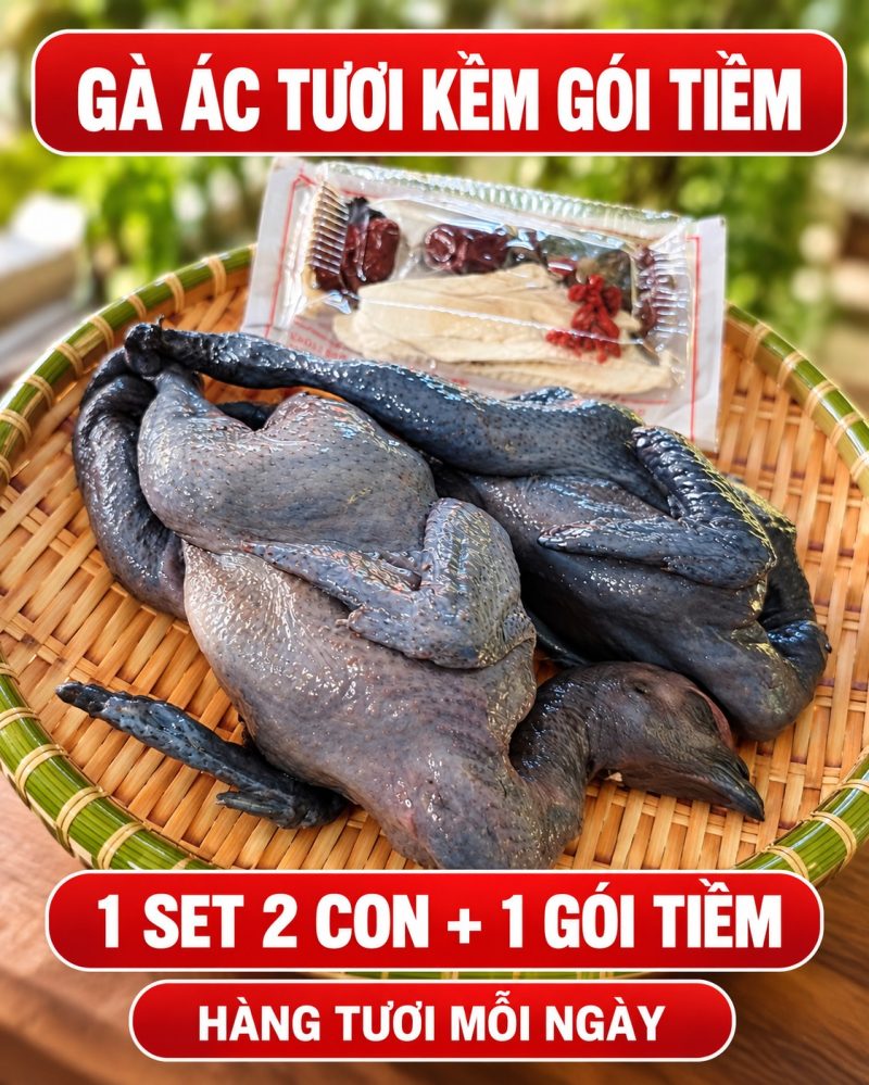 1 set 2 con gà ác, kèm gói tiềm